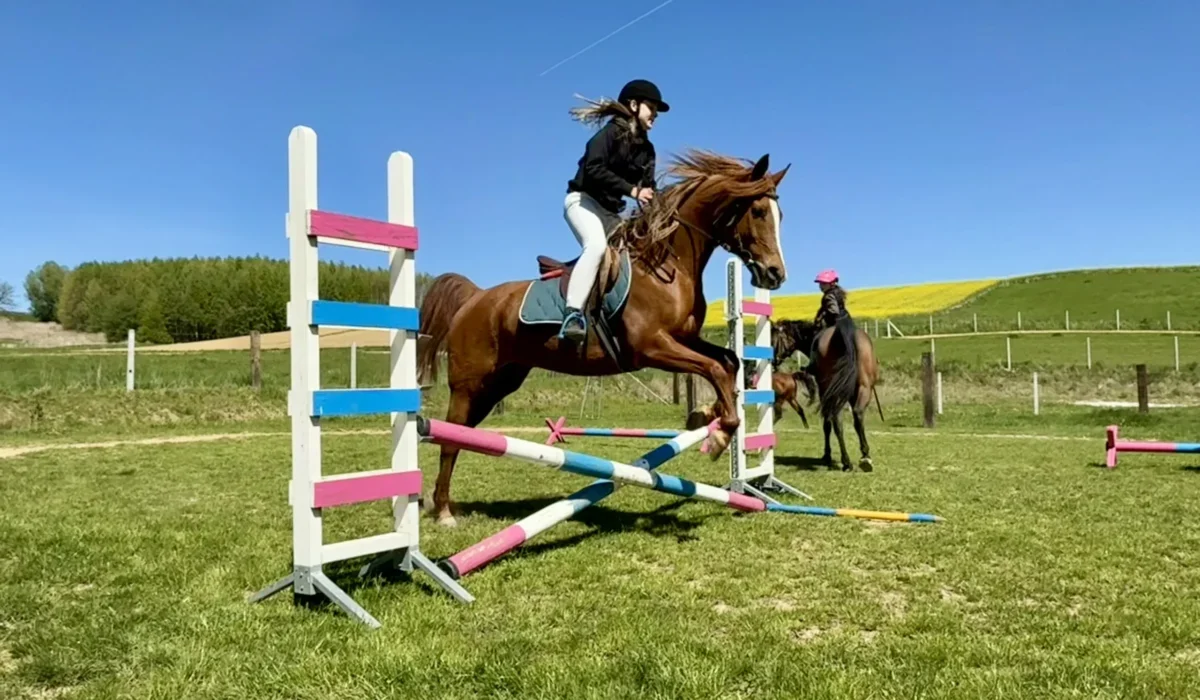 Radosna Zagroda Iwierzyce (1)